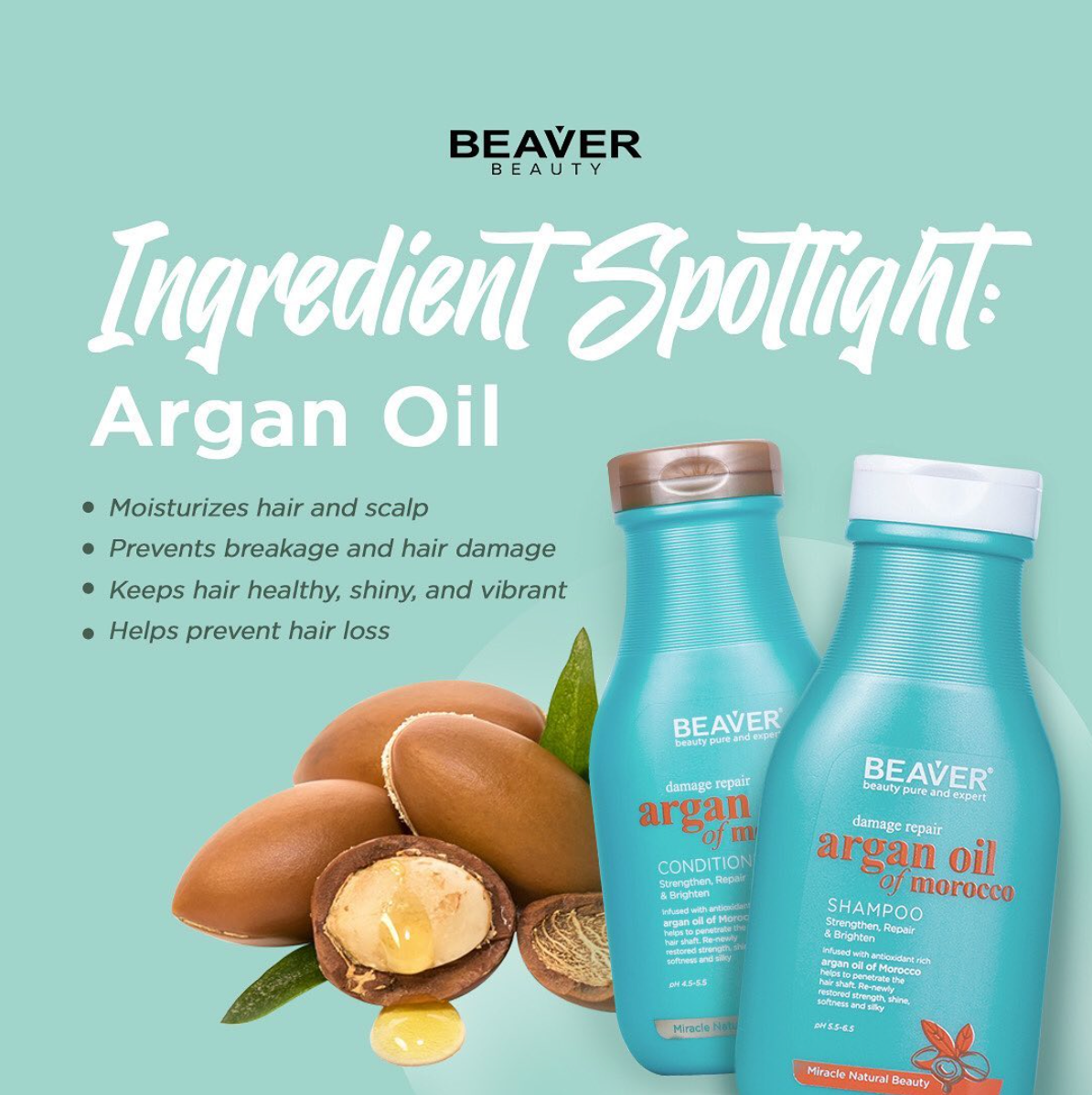 Argan Oil of Morocco Shampoo - 350ml (for Damaged Hair) – NATURALLYBABYPH CO.