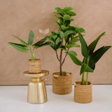 Bonjour Botanicals Oak Faux Tree 153cm