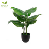 Bonjour Botanicals Wild Taro Faux Plant 60cm