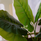 Bonjour Botanicals Wild Taro Faux Plant 60cm