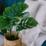 Bonjour Botanicals Monstera Faux Plant 55cm