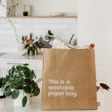 New Earth EcoCraft Washable Paper Bag - Large - Tan