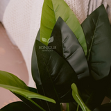 Bonjour Botanicals Tropical Anthurium Faux Plant 60cm