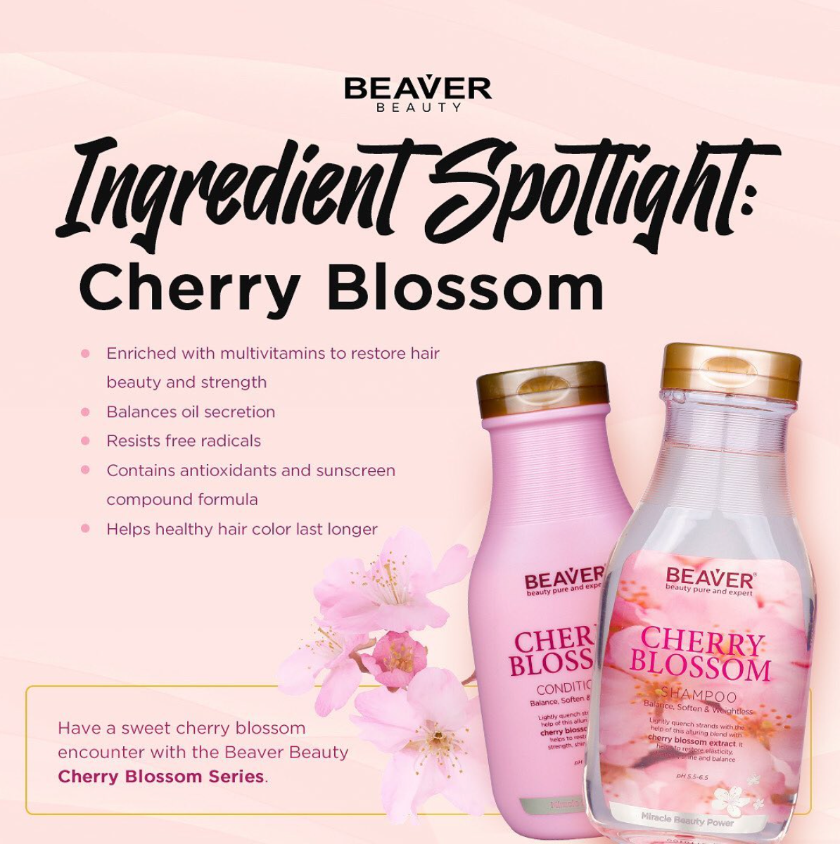 BEAVER Acondicionador Equilibrante Cherry Blossom 350 Ml – Für Gepflegte, Glänzende Haare & Gesunde Kopfhaut