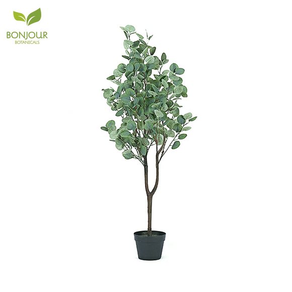 Bonjour Botanicals Money Faux Tree 170cm