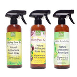 Stayfresh Canada Natural Antibacterial Spray (Amber bottle) - 500ml